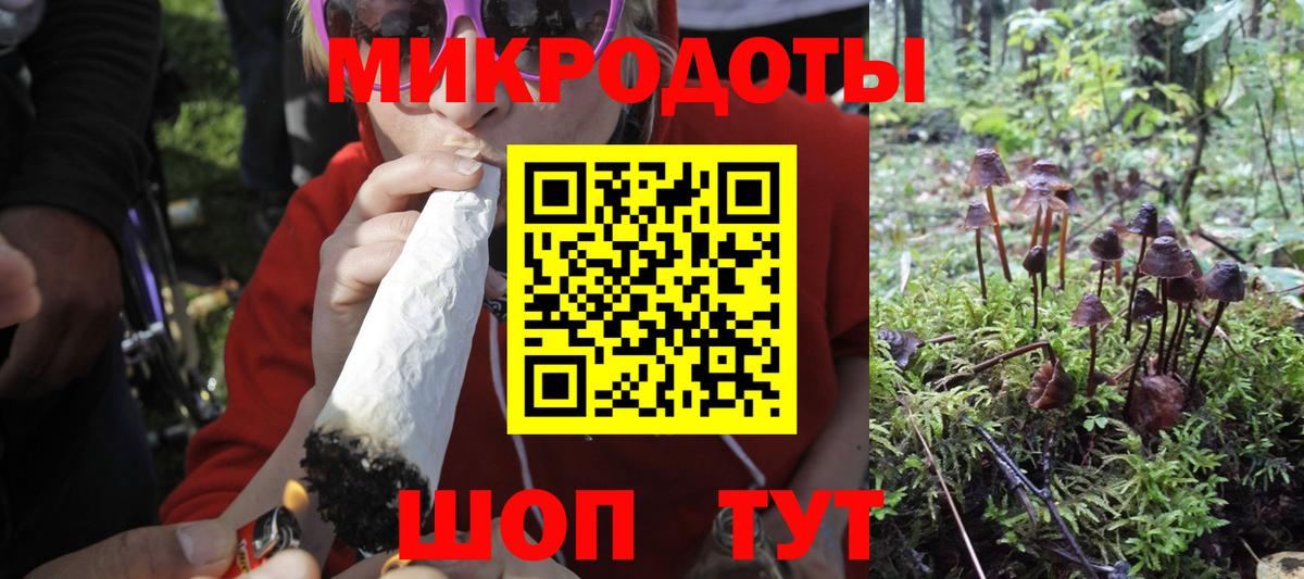 Галлюциногенные грибы прущие грибы Куйбышев