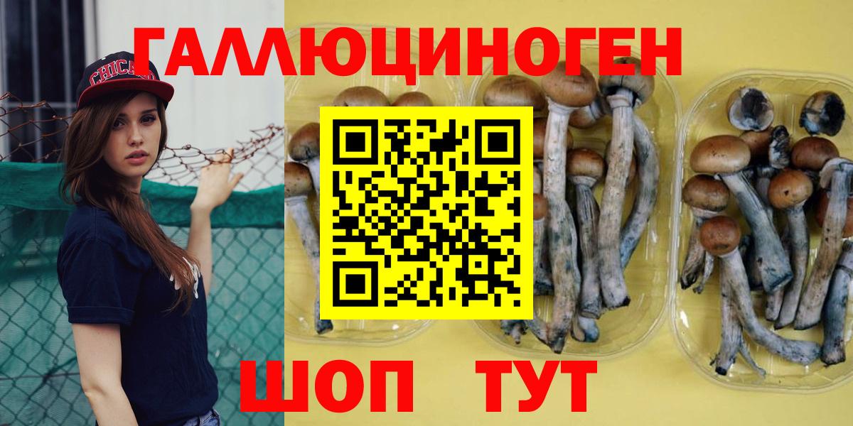 Псилоцибиновые грибы MAGIC MUSHROOMS  Вход с VPN  Псилоцибиновые грибы GOLDEN TEACHER  Куйбышев 